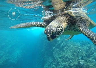 Ilhas Galápagos